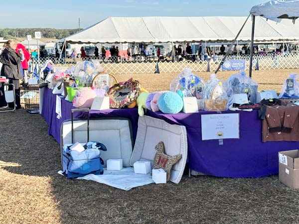 Clearwater Kennel Club Dog Show Gallery