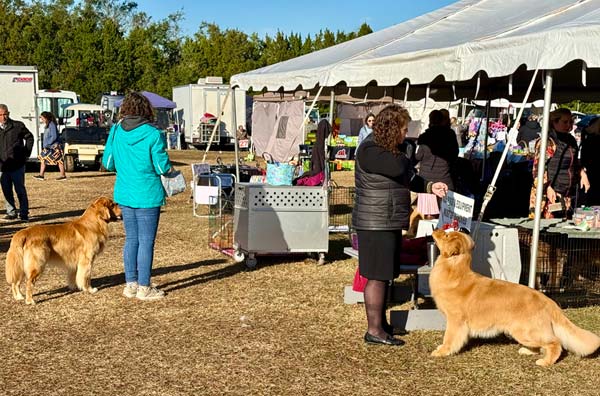 Clearwater Kennel Club Dog Show Gallery