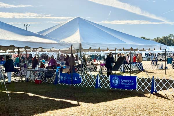 Clearwater Kennel Club Dog Show Gallery