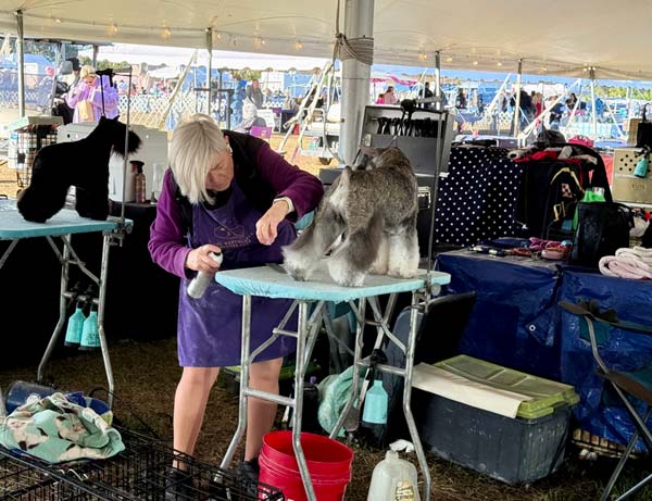 Clearwater Kennel Club Dog Show Gallery