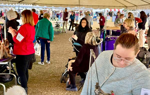 Clearwater Kennel Club Dog Show Gallery
