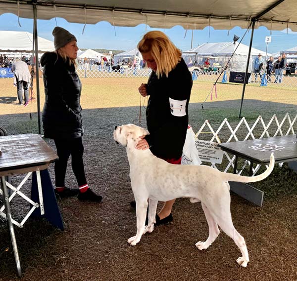Clearwater Kennel Club Dog Show Gallery