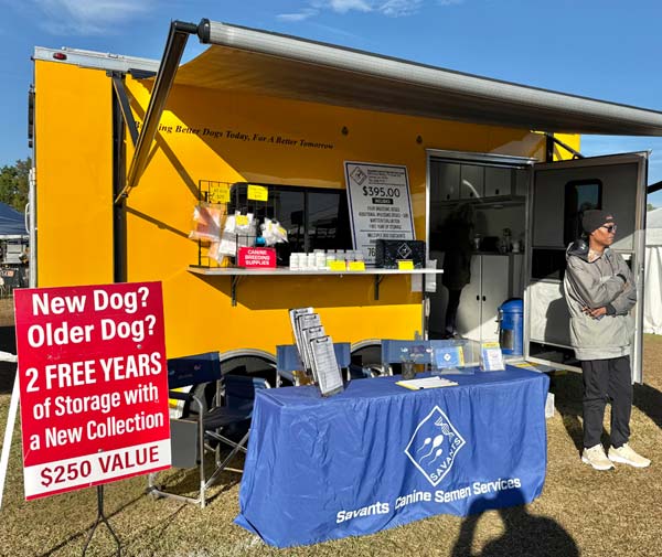 Clearwater Kennel Club Dog Show Gallery