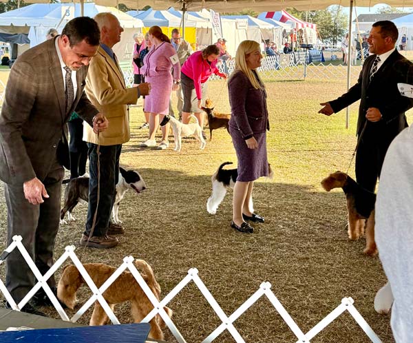 Clearwater Kennel Club Dog Show Gallery