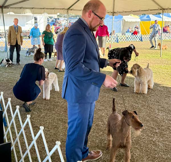 Clearwater Kennel Club Dog Show Gallery
