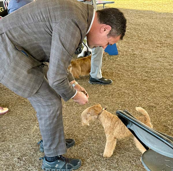Clearwater Kennel Club Dog Show Gallery