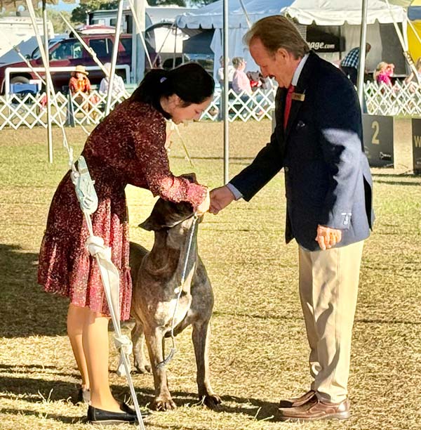 Clearwater Kennel Club Dog Show Gallery
